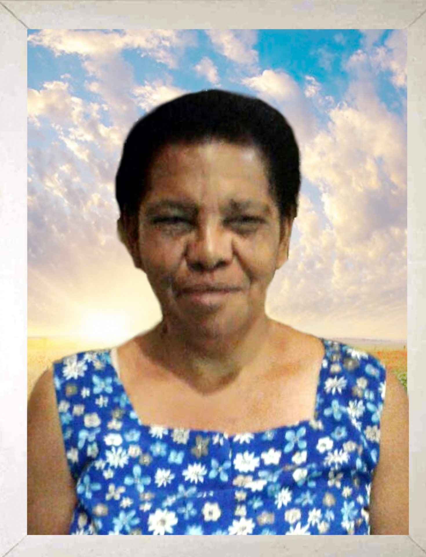 Maria Alice dos Santos Dejarvo