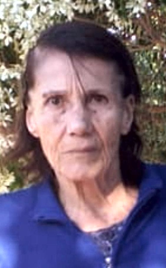 aparecida Cavalari Chitaro