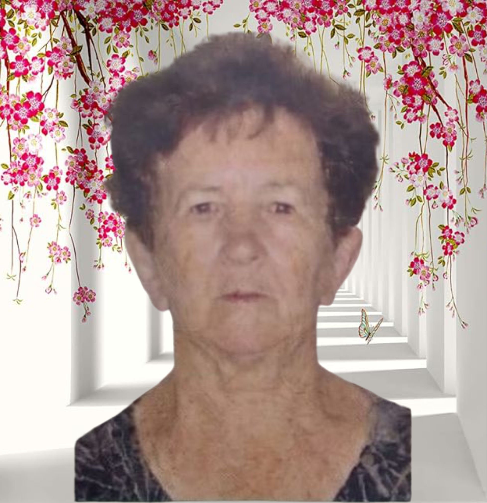 MARIA CAOBIANCO ZAMBOLIN