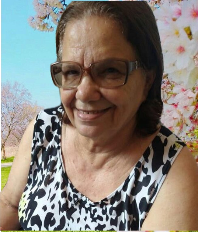 Aparecida dos Santos Ecle