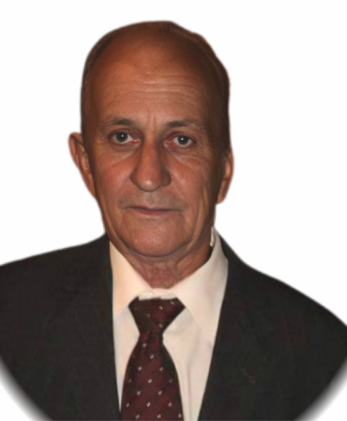 Luiz Domingues Fernandes