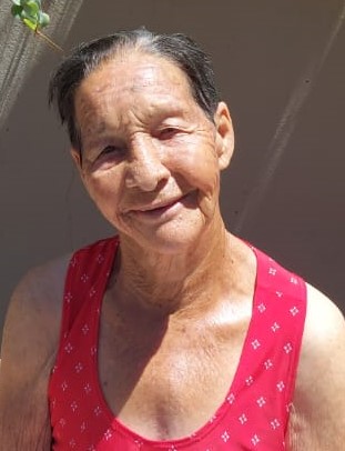 Geraldina Pereira dos Santos