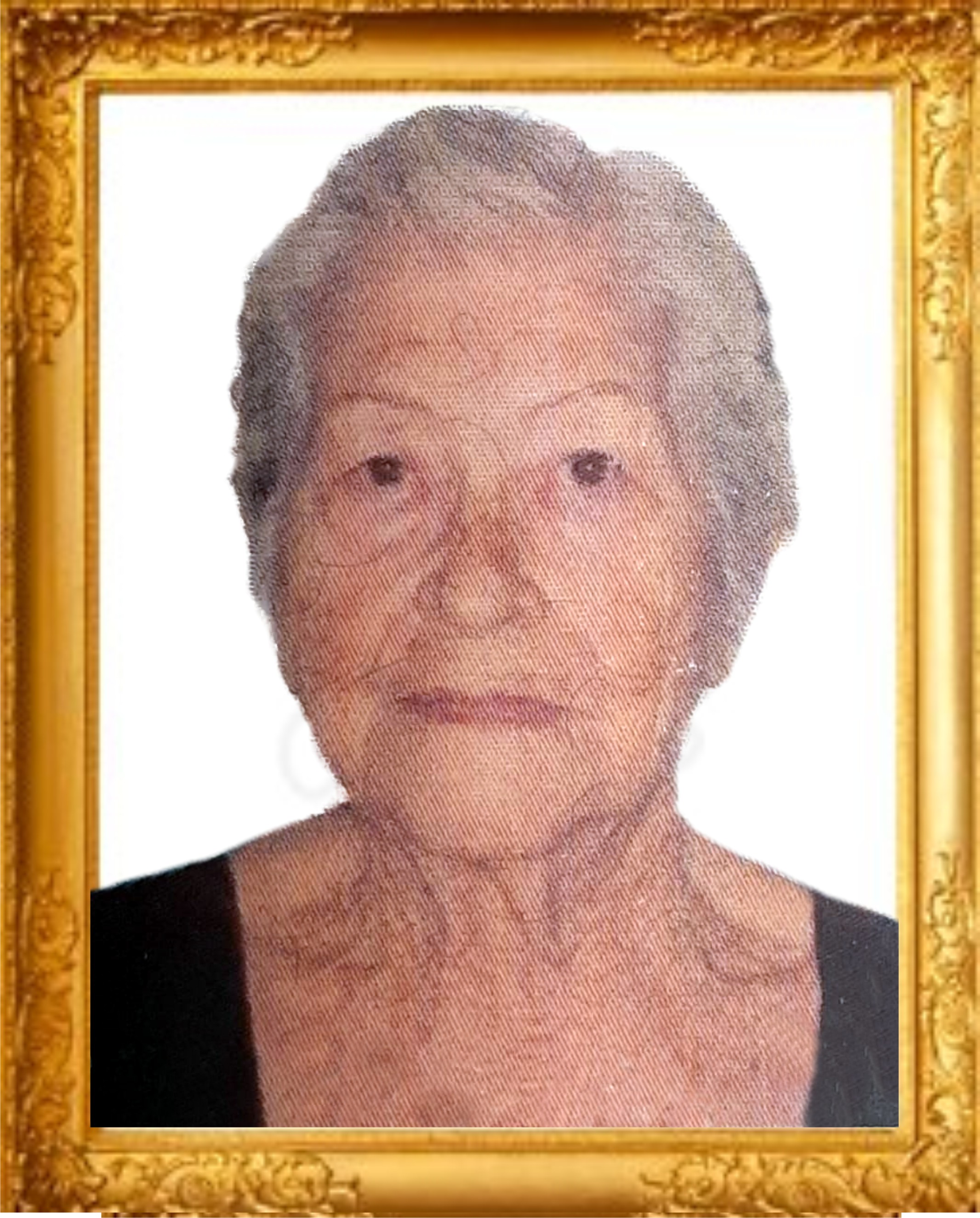 Maria Tereza Medeiros Vieira