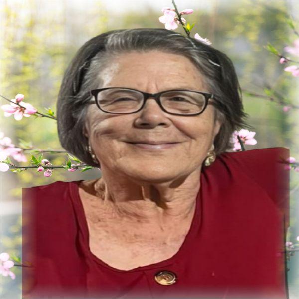 VALDICE COUTINHO BRITO