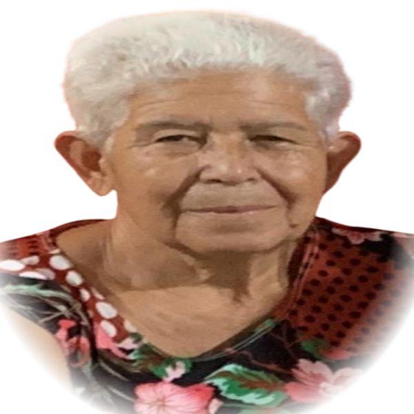 ALZIRA APARECIDA DE O. MORCELLI