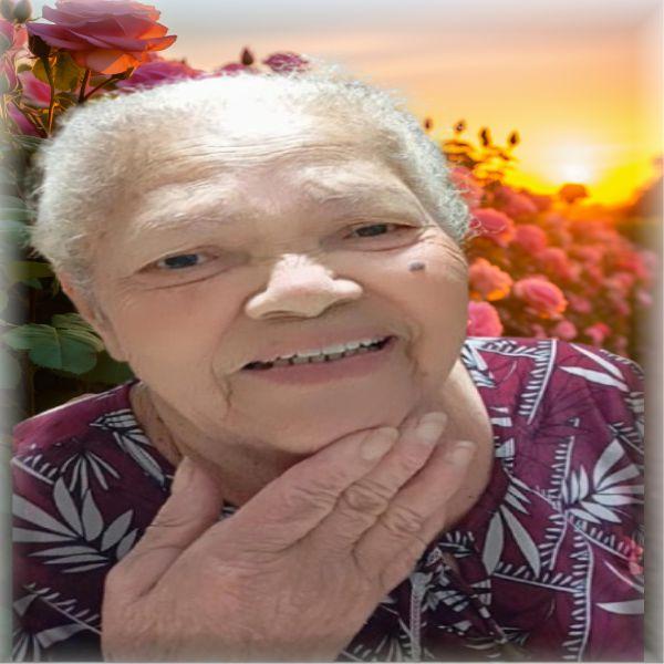 JOSEFA PEDRINA DOS SANTOS 