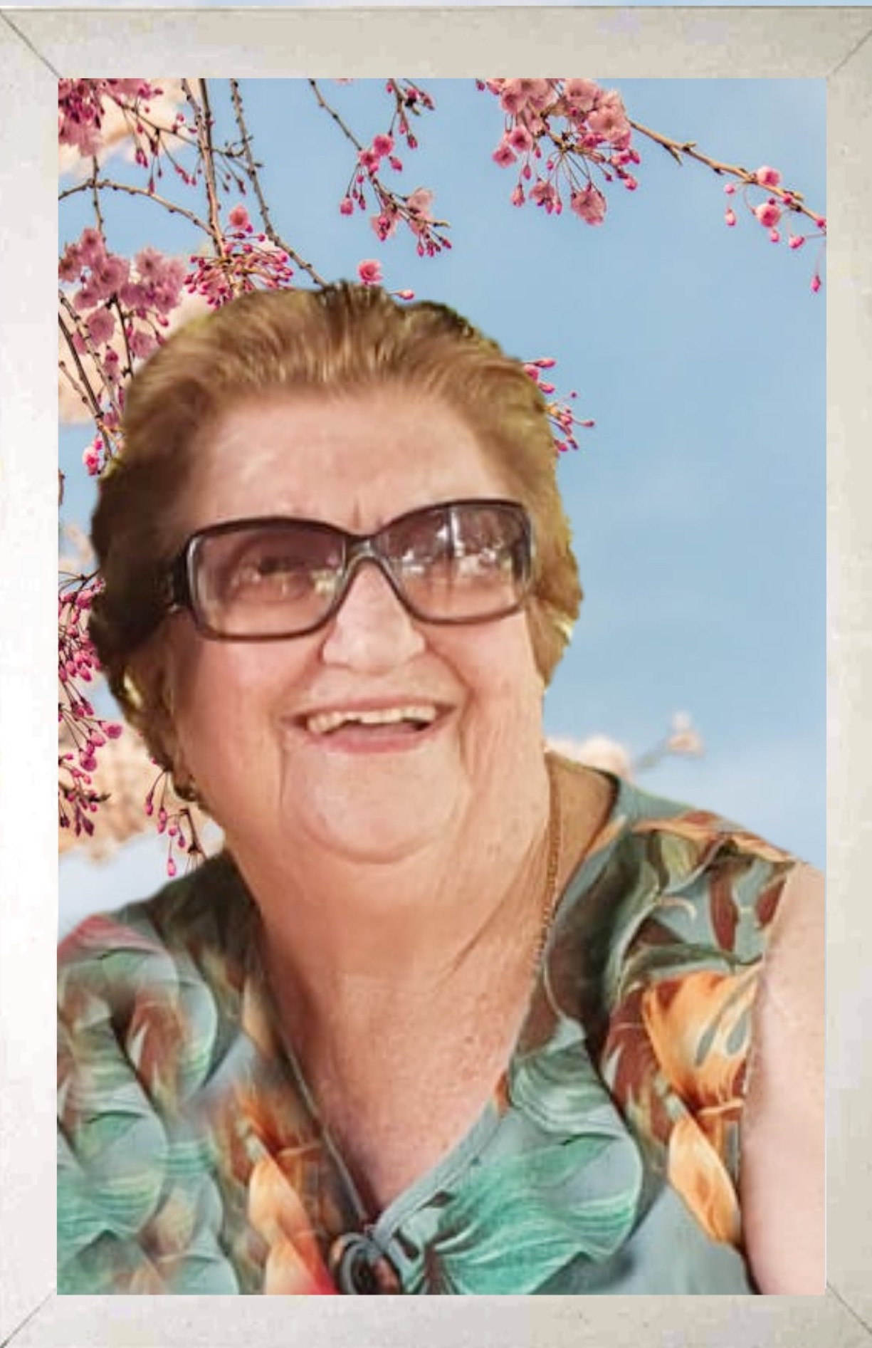 Edenir Veneziano de Oliveira