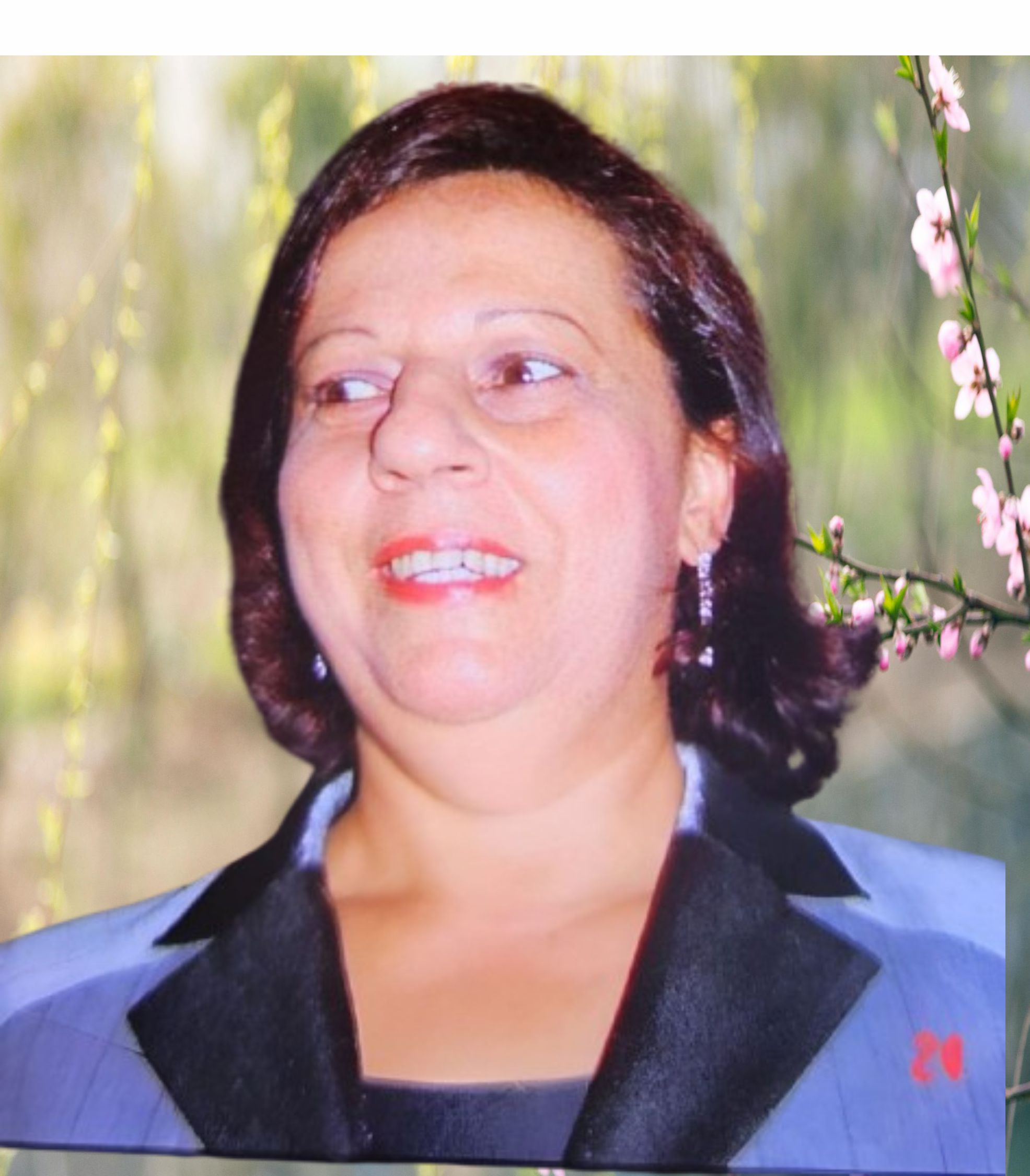 Aparecida Rosa Magalhaes Ungari