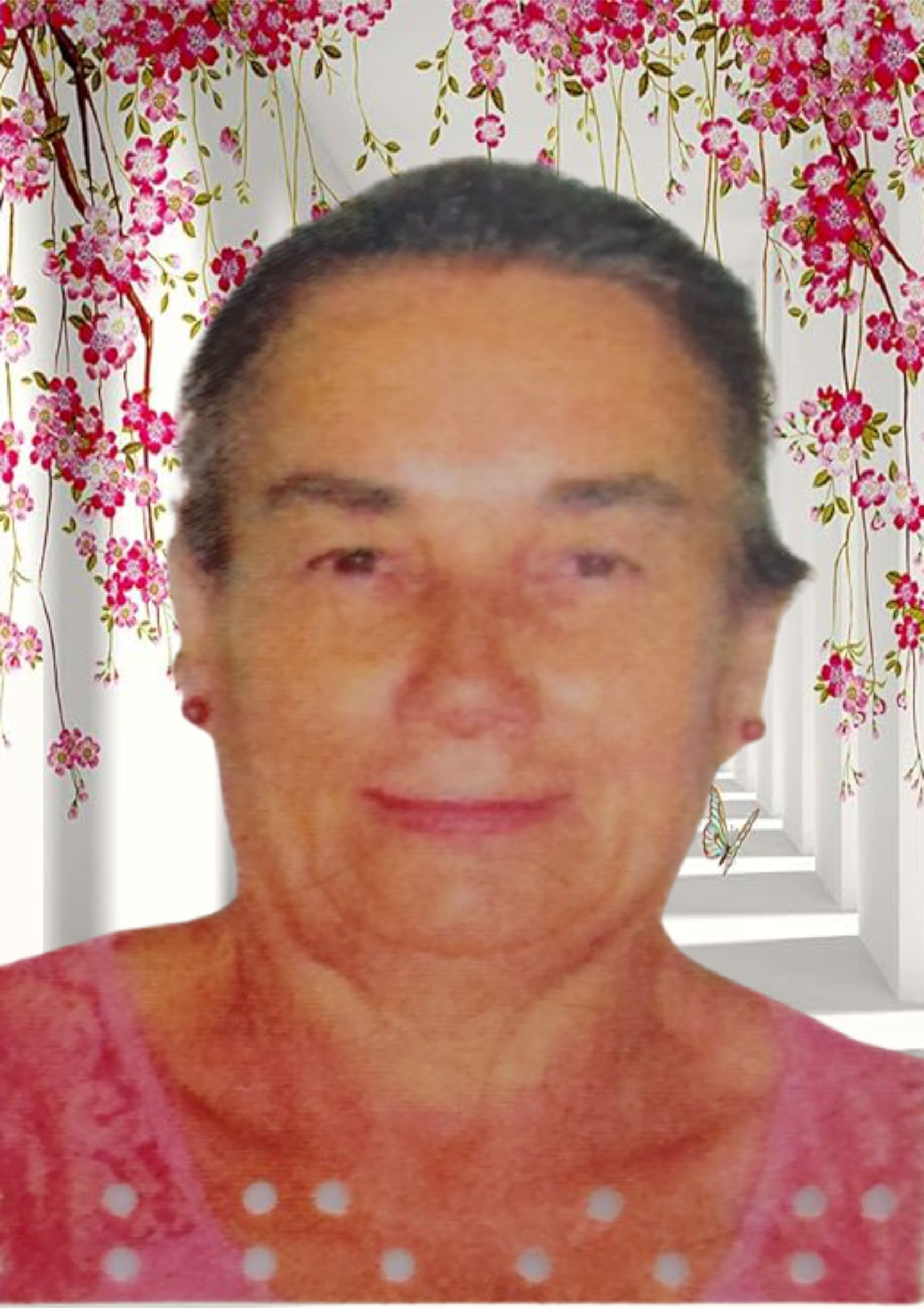 Aparecida da Silva