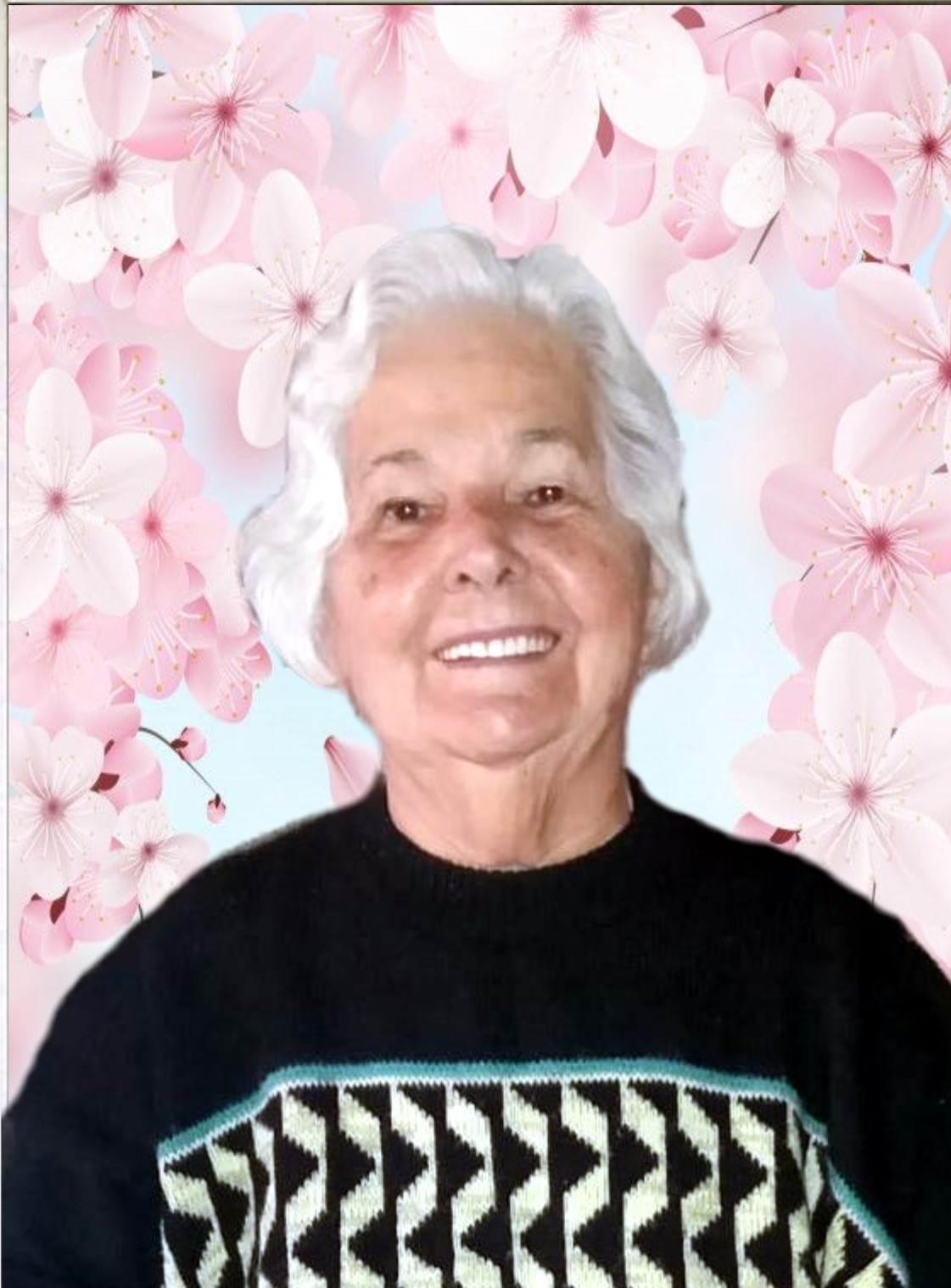 Aparecida Carolina Carreteiro