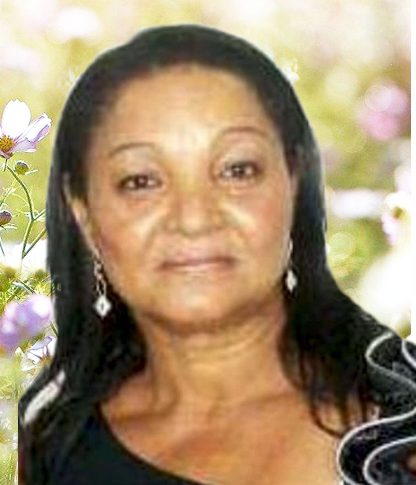 Ana Cláudio da Rocha Teixeira