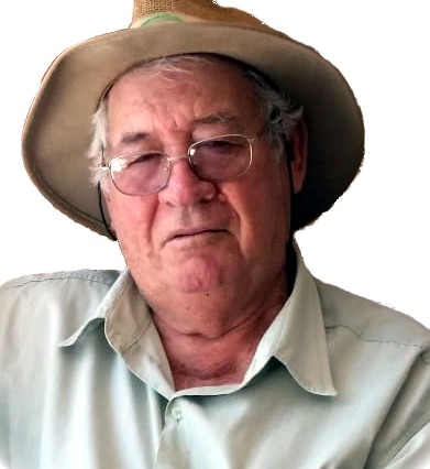 Alcides Frare ( Doca )