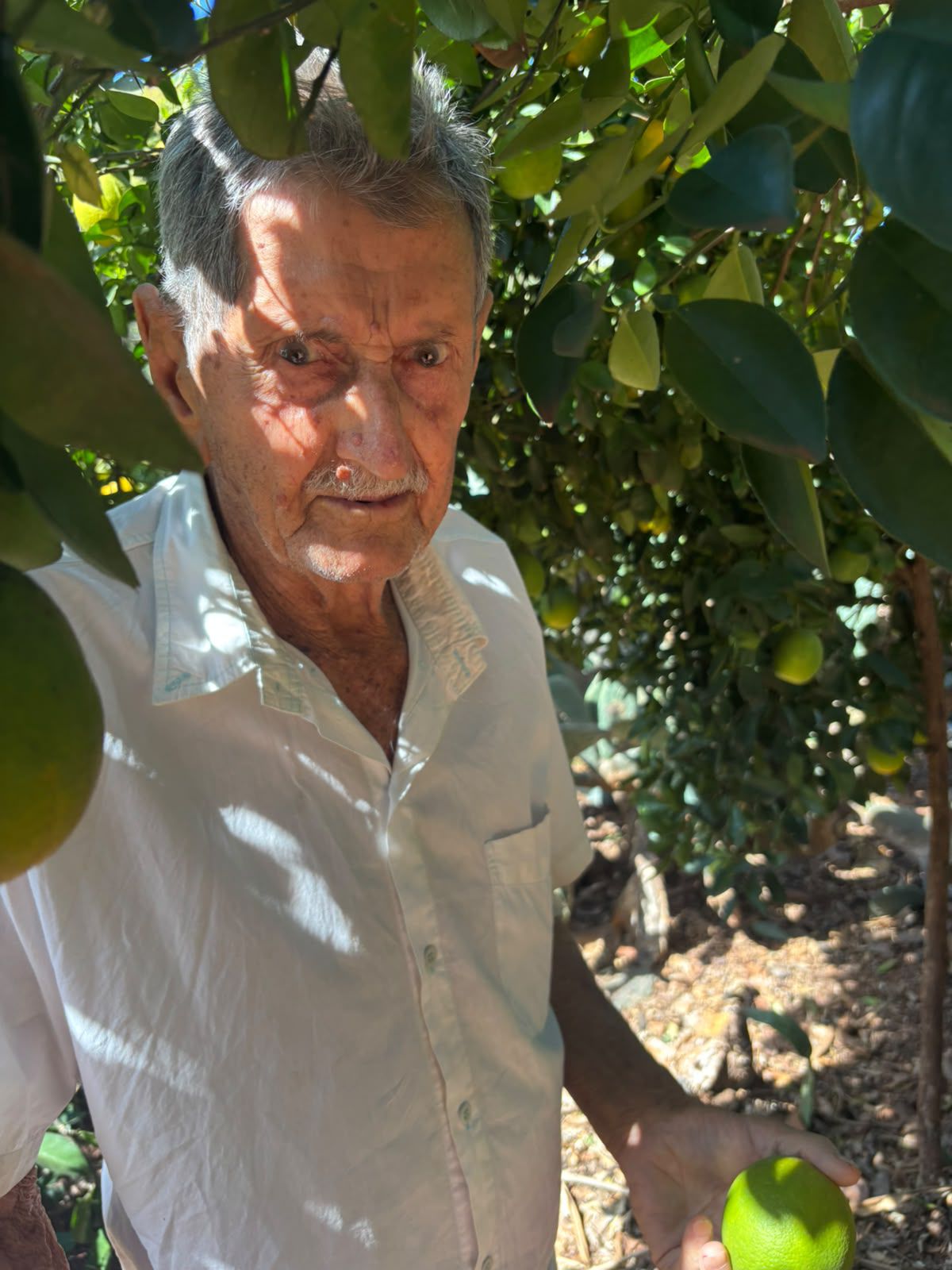 Santo Zauza