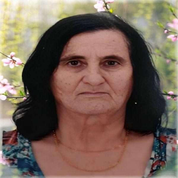 ALAIDE CAMILOTI MALISSI 