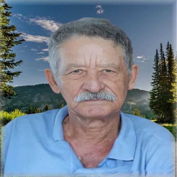 JOSÉ CELESTINO CARDOSO (ZÉ PALITO)