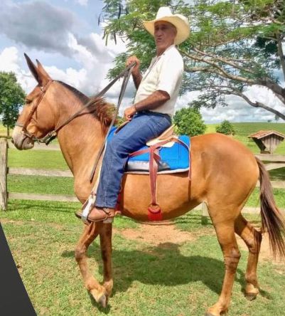 Jayme Ananias Ferreira (Tueba)