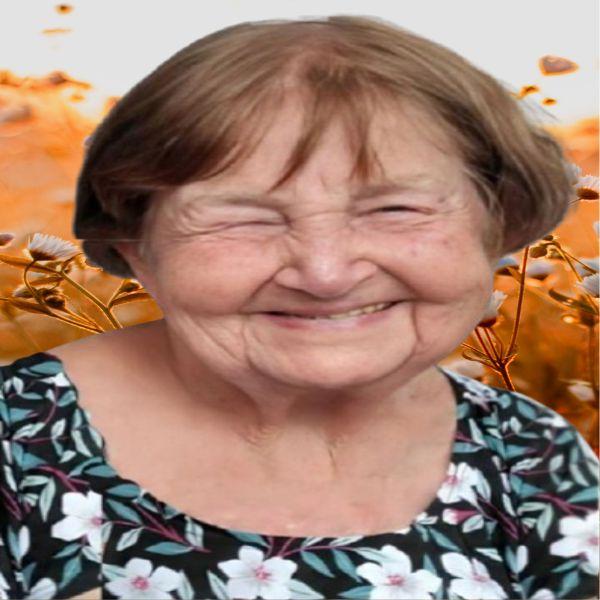 ANNA CLARA WALDOMIRO