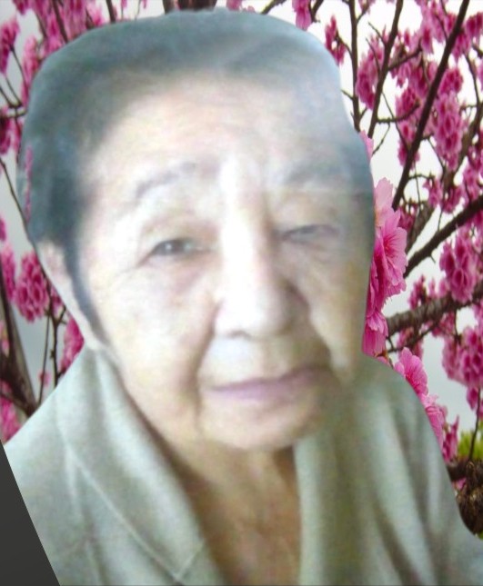 Dirce Keiko Kawakami Lima