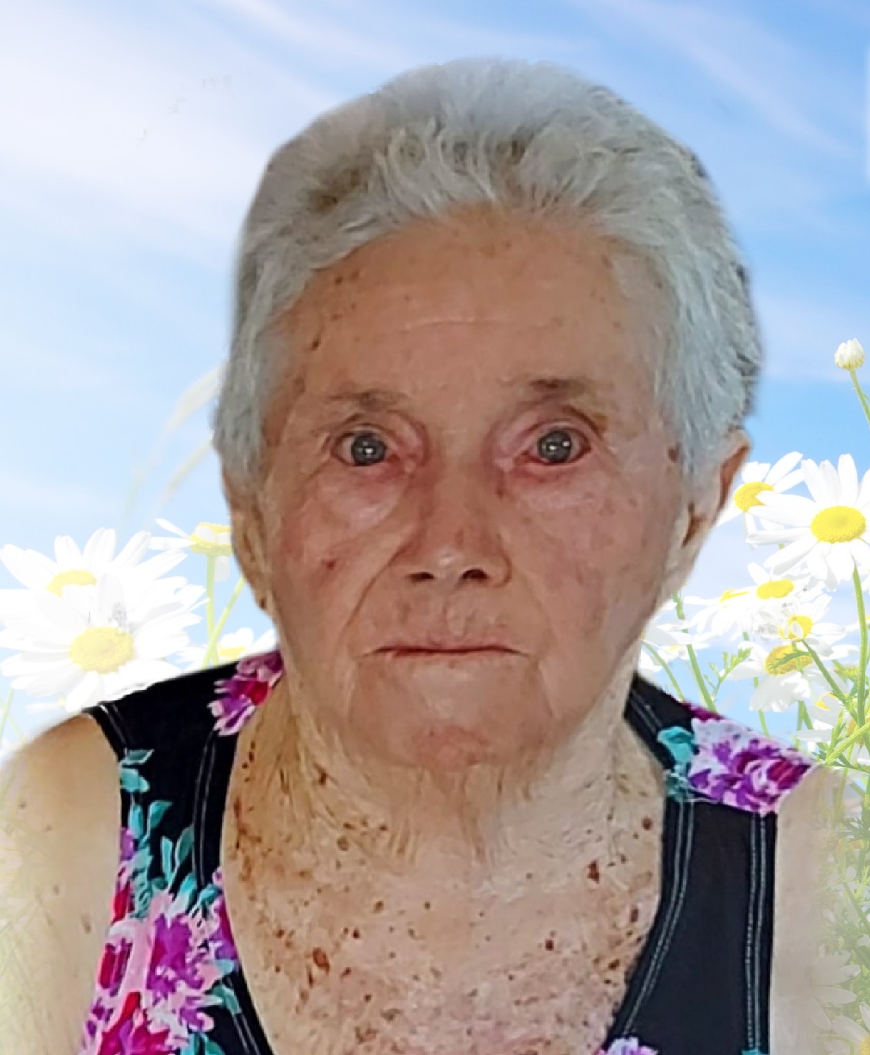 Iraci Gonçalves de Lima Freitas