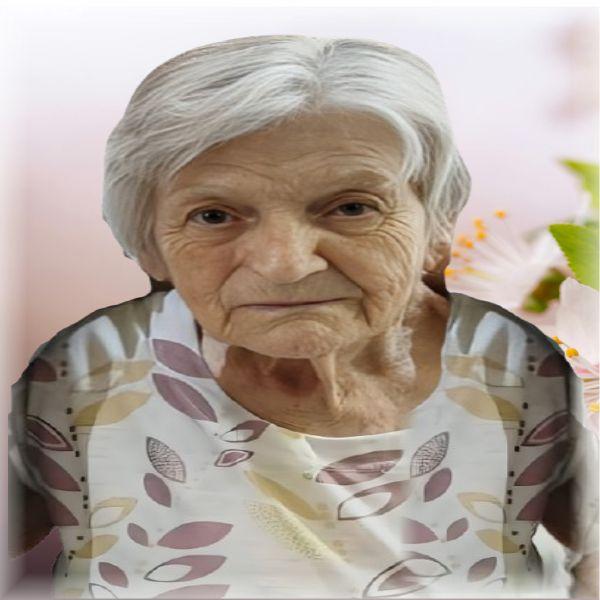 Apparecida  Cabreira de Queiroz 