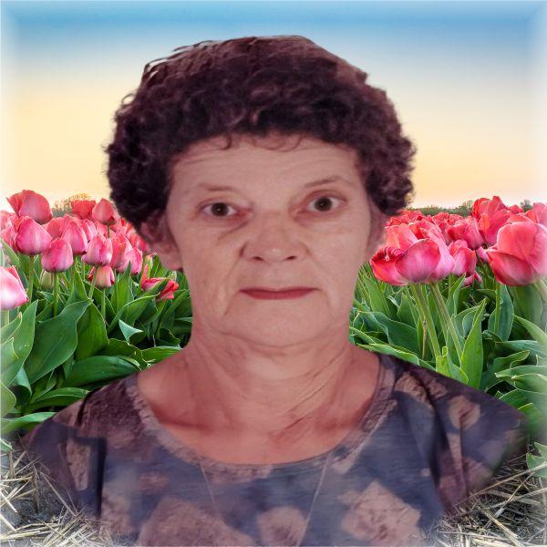 ROMILDE MARONI BRENHA