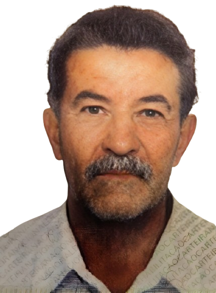 DARCINO BOARETO