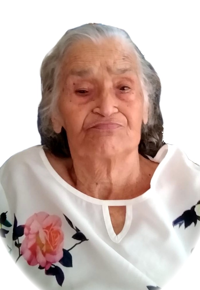 Hermínia Teixeira Rocha