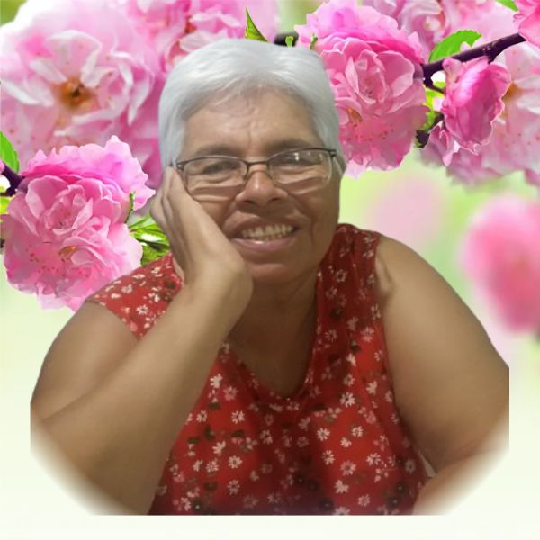 MARIA ALVES ROCHA