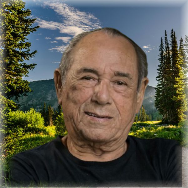 HELIO PEREIRA DA SILVA