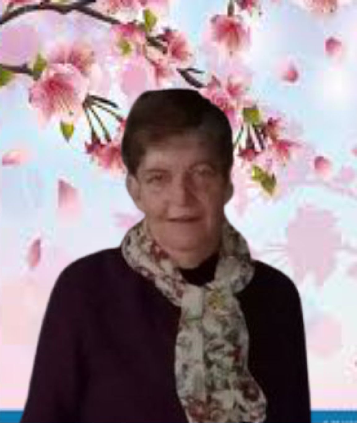 ANGELA SUELI DE CAMPOS SANTANA