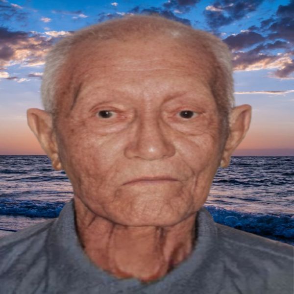 JOSÉ MINGUINI