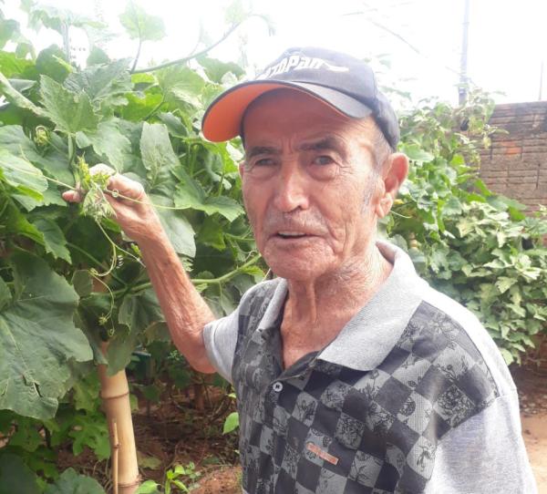 FRANCISCO ROMERO ANDRÉO