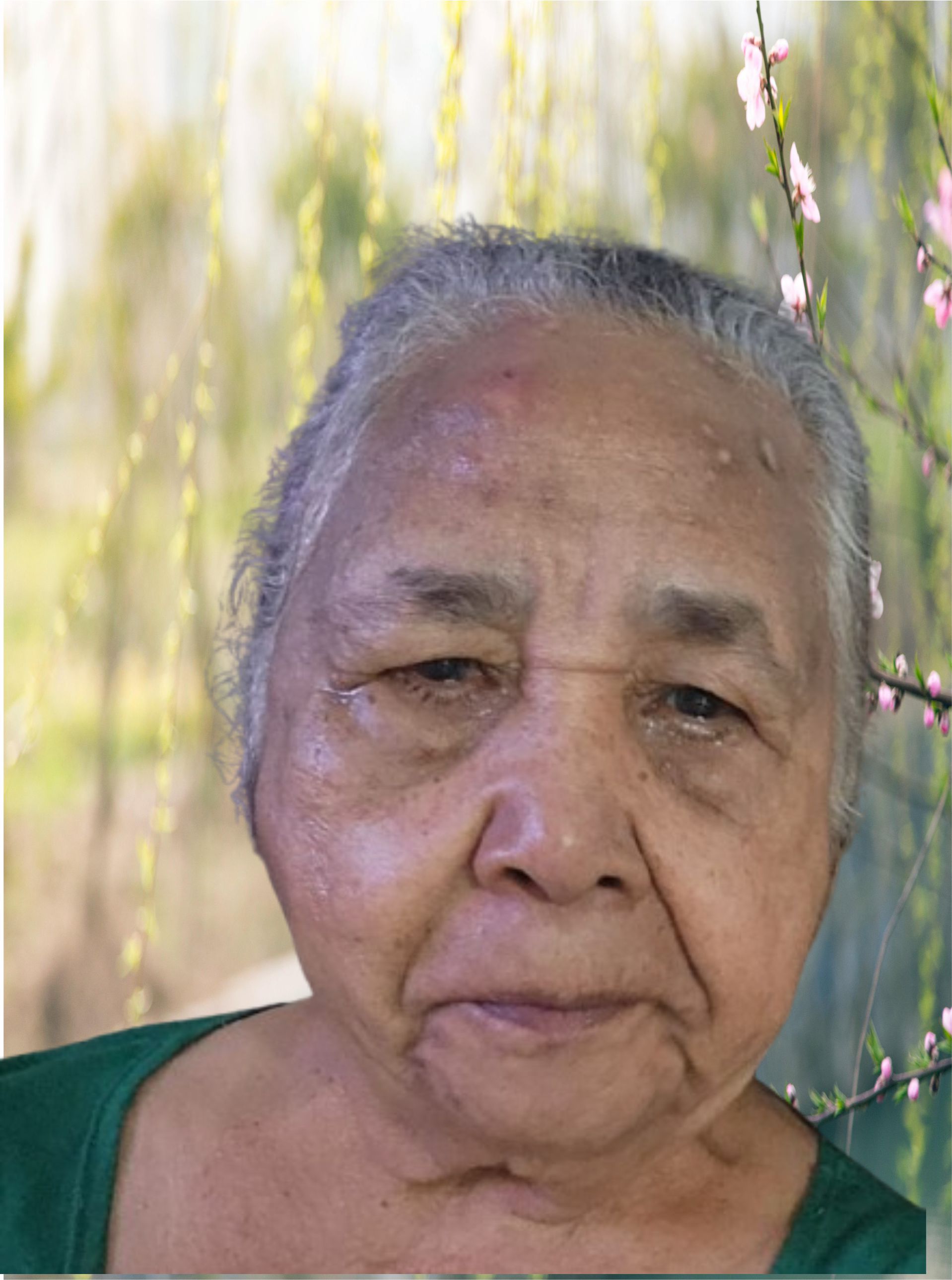 ROSALINA PAULINO MALTA